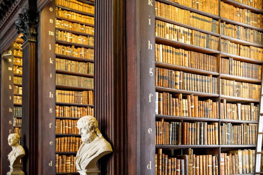Dublin City Walking Tour, Vikings, St. Partick, Highlights - Practical details before you book