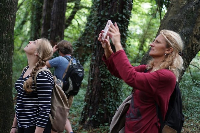 Dublin Coastal Hike with Howth Adventures - Why Howth makes such a good escape from Dublin