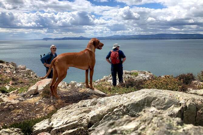 Dublin Coastal Hike with Howth Adventures - Starting at the harbor and Howth Market