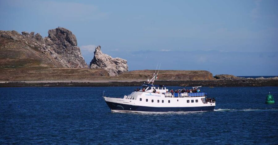 Dublin: Dublin Bay Cruise from Howth to Dun Laoghaire - Key points at a glance