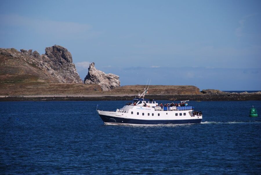 Dublin: Dublin Bay Cruise from Howth to Dun Laoghaire - Why this Dublin Bay cruise works well