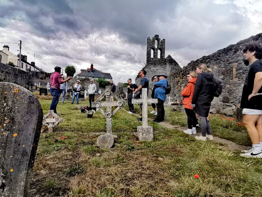 Dublin: Dublin Coastal Hike and Pints & Puppies - Watching for seals beside the shore