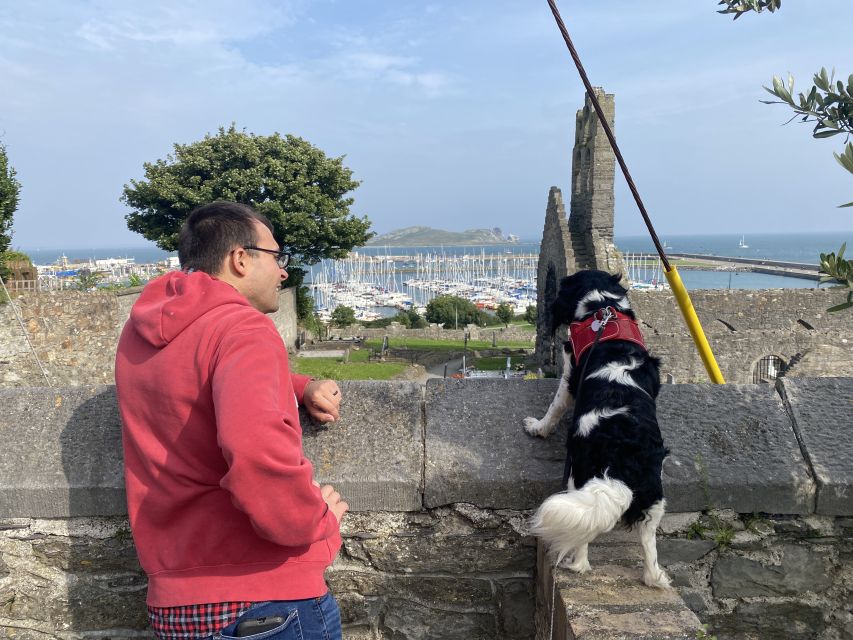 Dublin: Dublin Coastal Hike and Pints & Puppies - The complimentary pint at a local pub