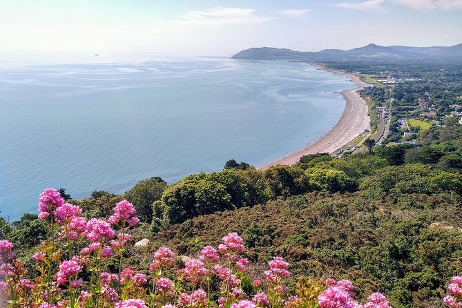 Dublin (Dun Laoghaire) Top-Rated Coastal Walking Tour - People’s Park and The Metals