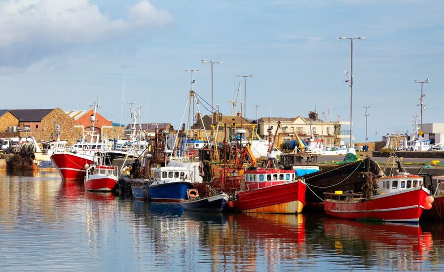 Dublin: Full-Day Howth and Malahide Castle Tour - Howth Summit and the walk down to the harbor