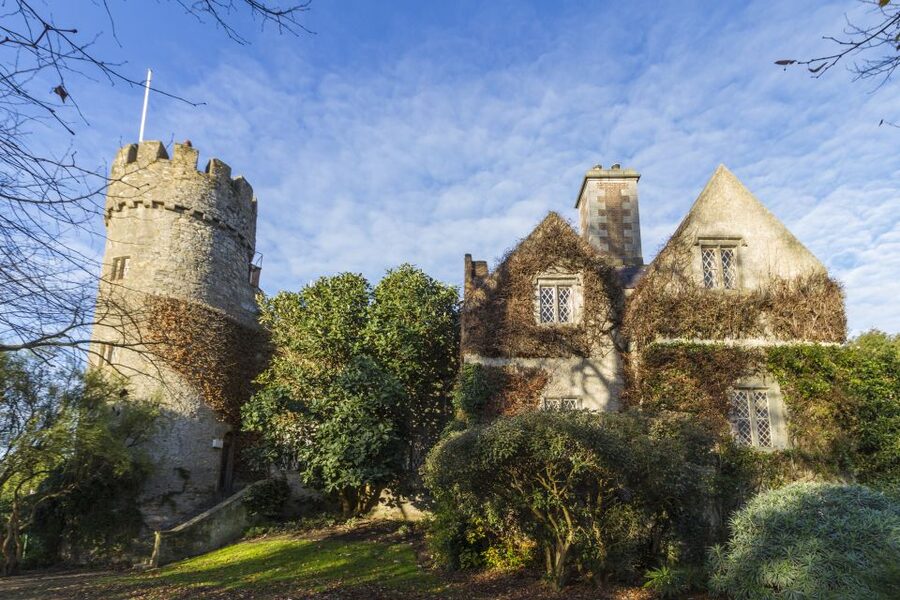 Dublin: Full-Day Howth and Malahide Castle Tour - Howth Harbor, lunch, and the chance of seals