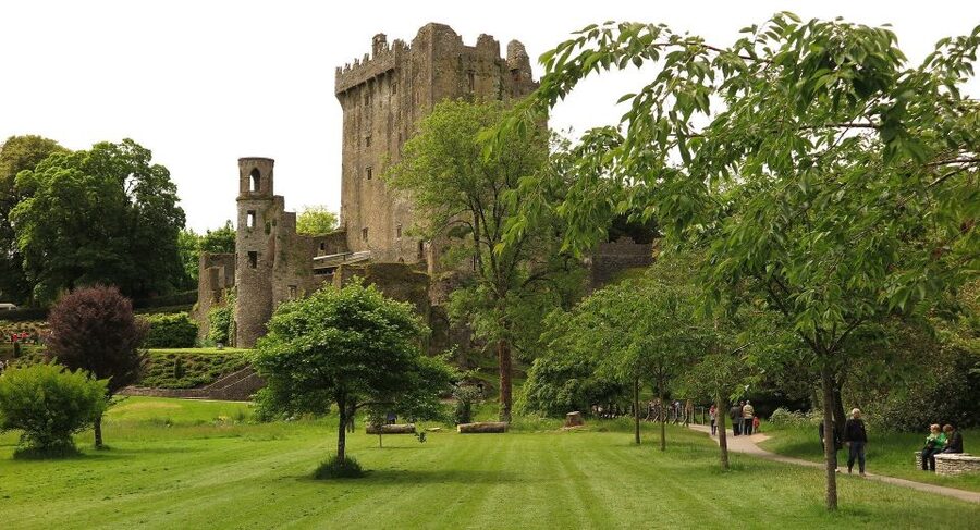 Dublin: Full-Day Tour to Cork, Cobh and Blarney Castle - Should you book the Cork, Cobh, and Blarney tour?