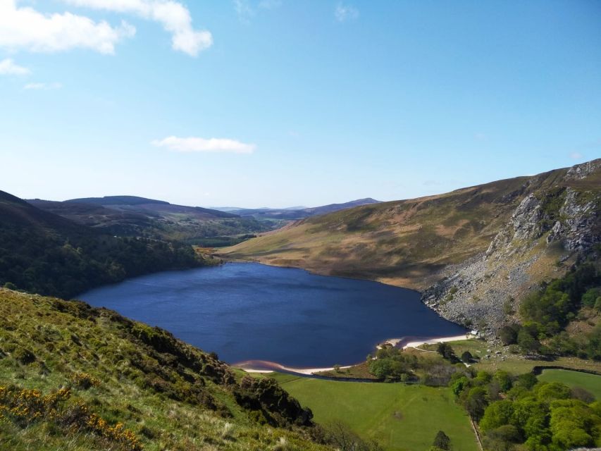 Dublin: Full-Day Wicklow Mountains Tour w/ Glendalough Visit - From Dublin streets to Wicklow mountain roads