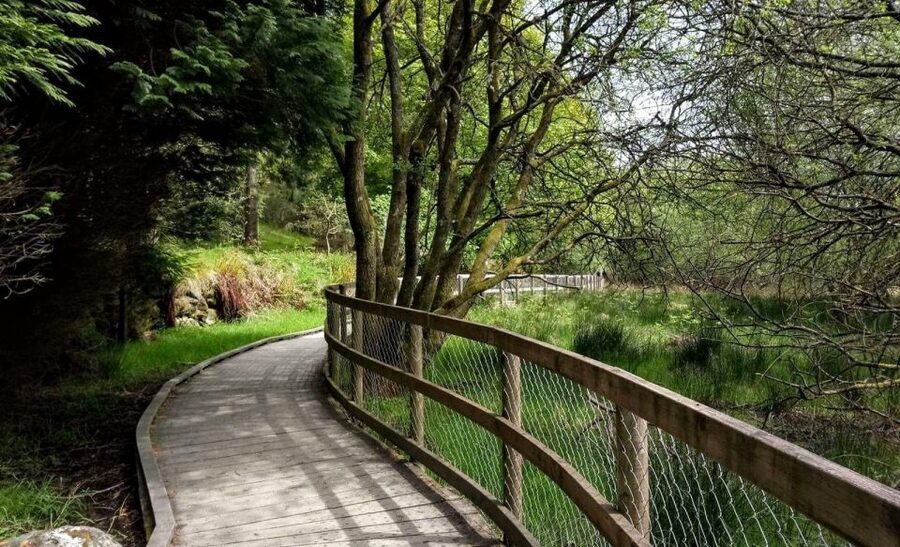 Dublin: Full-Day Wicklow Mountains Tour w/ Glendalough Visit - Is $67 good value for this Wicklow day trip?