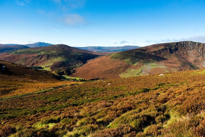 Dublin: Glendalough, Wicklow, Kilkenny and Sheepdog demonstration - Who will enjoy this day most