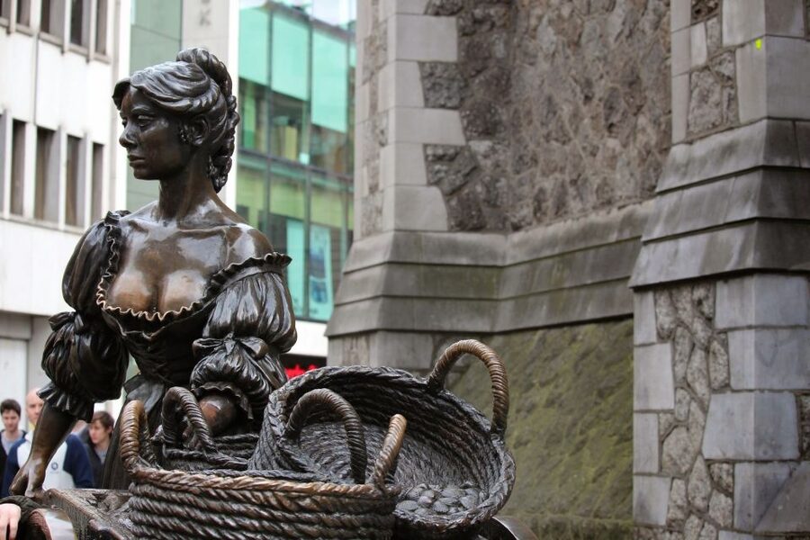 Dublin: Half-Day Private Walking Tour - Booking and practical details
