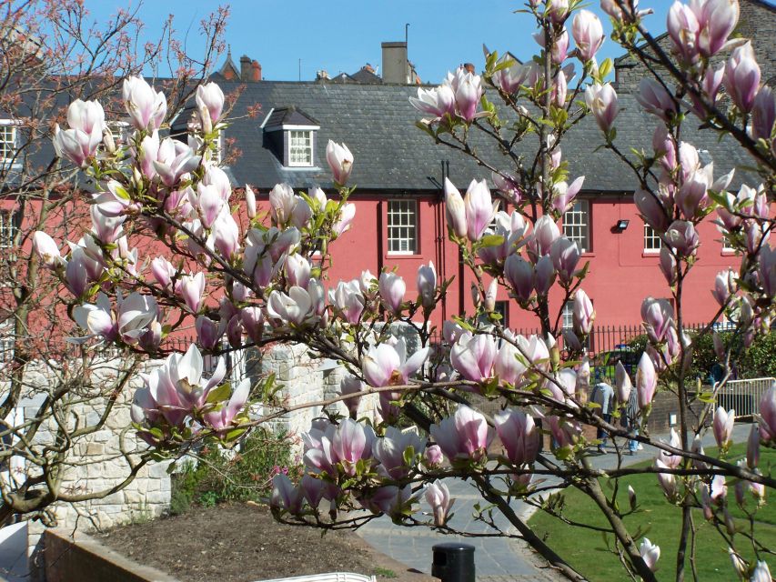 Dublin: Highlights and Hidden Corners Walking Tour - Dublin Castle grounds and the medieval quarter