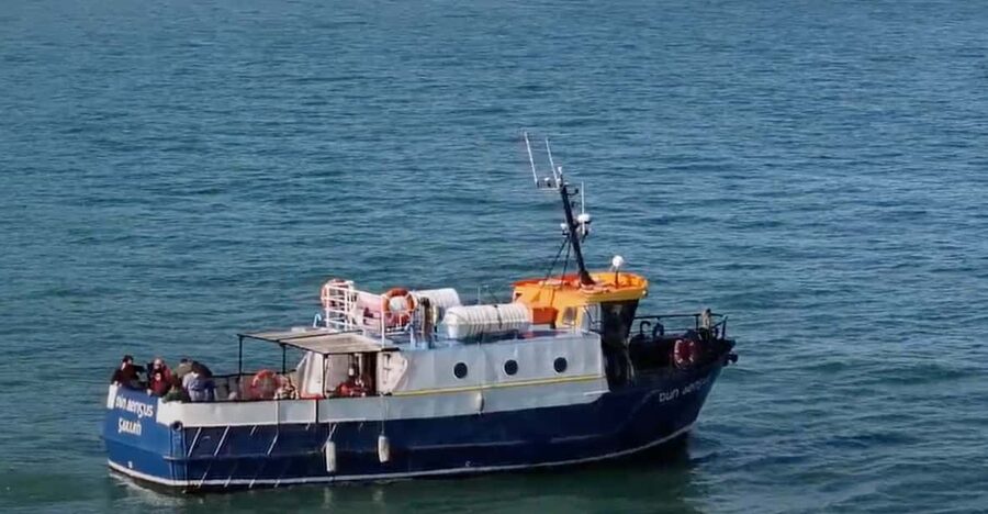 Dublin: Howth Cliffs and Lighthouse Boat Tour - Seeing Howth Cliffs from below