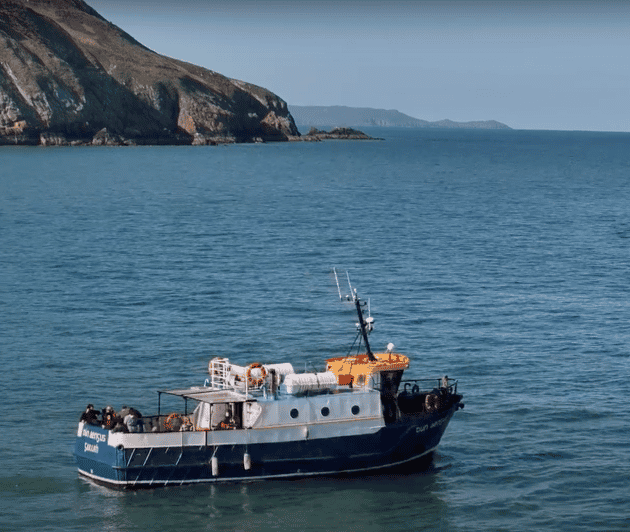 Dublin: Howth Cliffs and Lighthouse Boat Tour - Ireland’s Eye and the search for sea birds