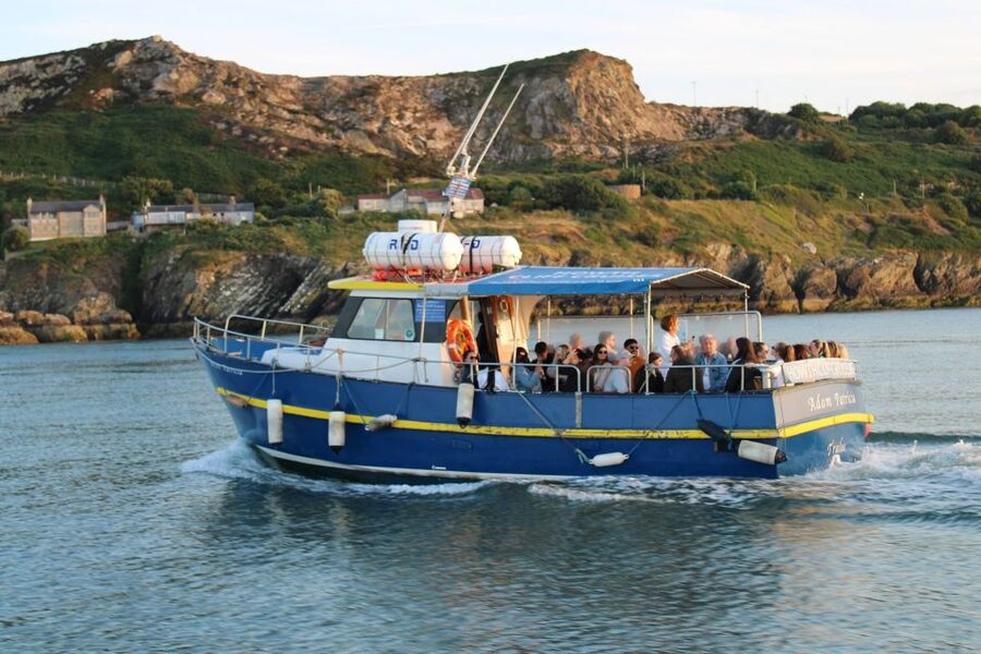 Dublin: Howth Cliffs and Lighthouse Cruise - The Captain’s Commentary Makes the Difference