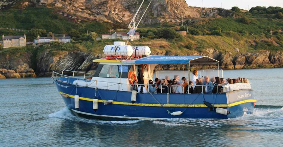 Dublin: Howth Cliffs and Lighthouse Cruise - What the Ride Feels Like for Families