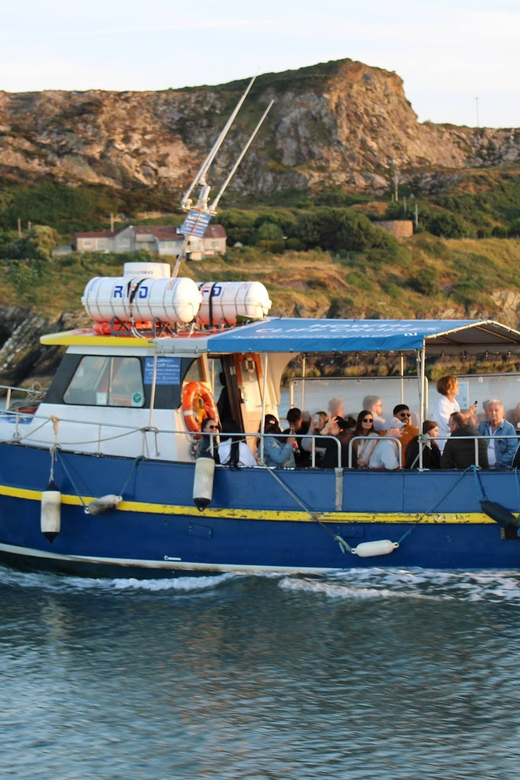 Dublin: Howth Coast and Ireland's Eye Boat Tour - Why Ireland’s Eye makes a short cruise worthwhile