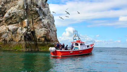 Dublin: Howth Coastal Boat Tour - Why Ireland’s Eye Makes This Boat Trip Special
