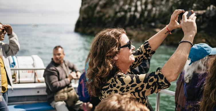 Dublin: Howth Coastal Boat Tour - Finding the Boat at Howth’s West Pier
