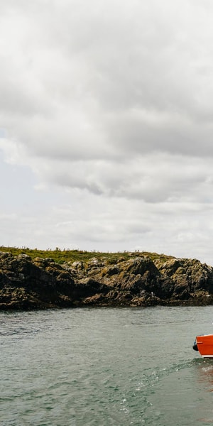 Dublin: Howth Coastal Boat Tour - The Skippers Add More Than Directions