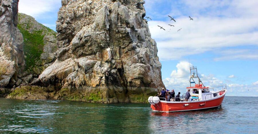 Dublin: Howth Coastal Boat Tour - What the Boat Ride Feels Like on the Water