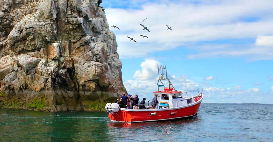 Dublin: Howth Coastal Boat Tour - What the 50-Minute Route Actually Includes