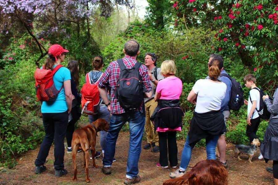 Dublin: Howth Coastal Hiking Tour - What the guides add