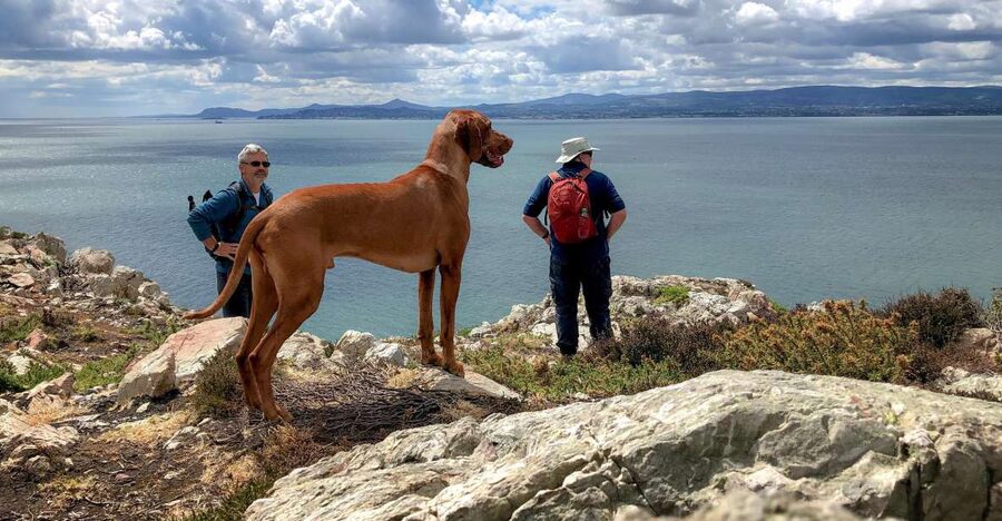 Dublin: Howth Coastal Hiking Tour - St Mary’s Abbey and the older Howth