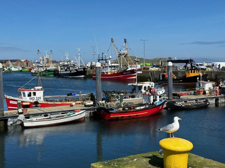 Dublin: Howth Coastal Hiking Tour - The climb toward Ben of Howth