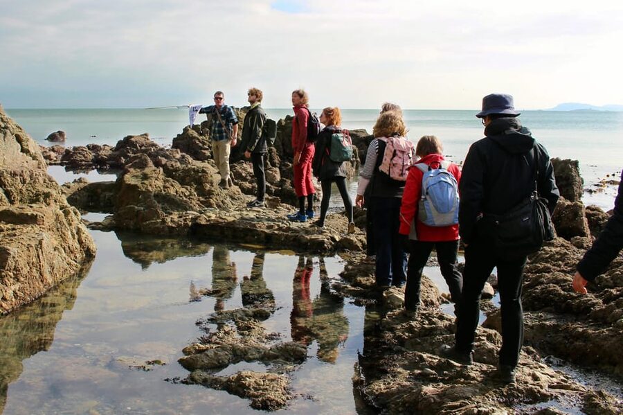 Dublin: Howth Safari Hiking Tour - Doldrum Beach and the value of a quiet pause
