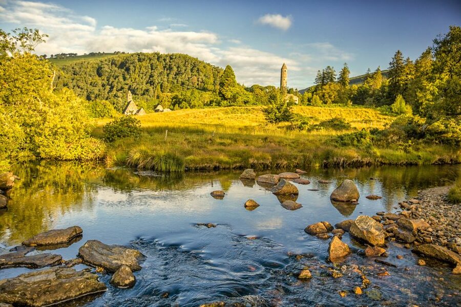 Dublin: Kilkenny, Wicklow & Glendalough Tour & Sheepdog Show - Guides, humor, and the feel of the day