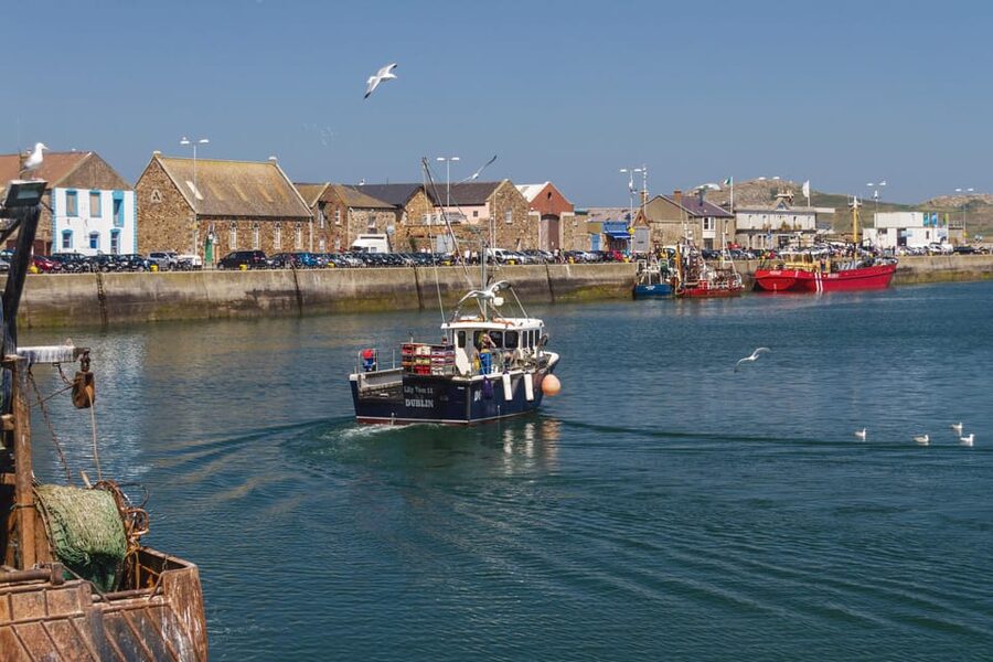 DUBLIN: Malahide castle and Howth MULTILINGUAL full day tour - Howth Summit and the optional walk to the village