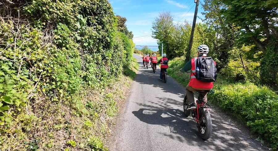 Dublin: Panoramic e-Bike Tour - Upper Cliff Road and the heathland paths