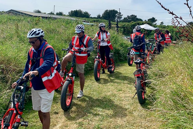 Dublin Panoramic e-Bike Tour with Howth Adventures - Baily Lighthouse and Dublin Bay views