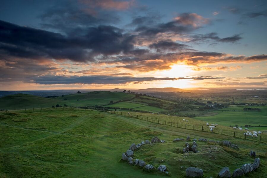 Dublin: Private Boyne Valley and Trim Castle Day Tour - How the guide can shape your day
