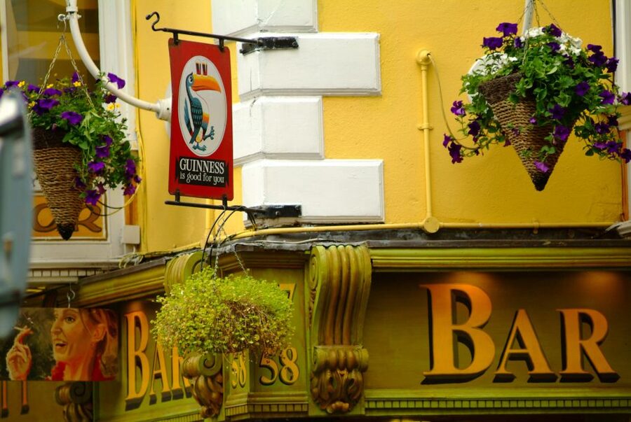 Dublin: Private City Tour in German - Starting in the city center