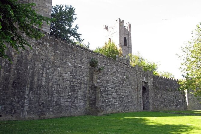 Dublin Private Medieval Walking Tour - The Liberties, where old Dublin keeps changing