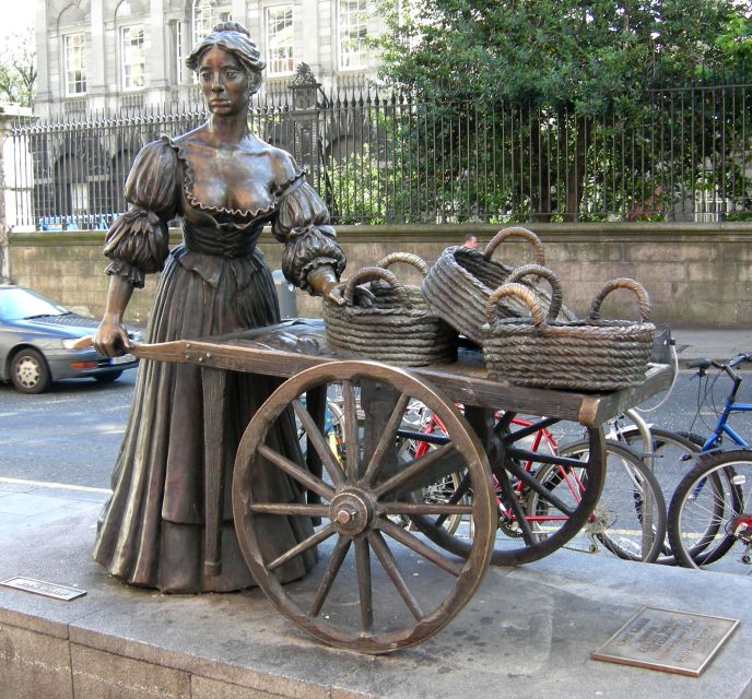 Dublin: Private Tour of City Monuments in Spanish - St. Audoen’s Park and Christ Church Cathedral