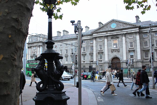 Dublin Private Walking Tour | 3 hour Highlights & Hidden Gems - Dubh Linn Gardens and the castle’s quieter side
