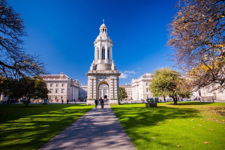 Dublin: Skip-the-line Book of Kells & Old Town Private Tour - What the private guide adds