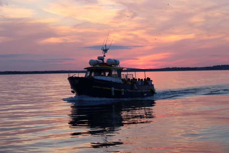 Dublin: Sunset Cruise in Howth - Ireland’s Eye in the evening light