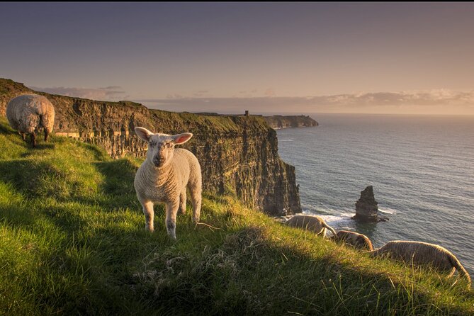 Dublin to Cliffs of Moher, Ennis Town & Bunratty Castle Day Tour - Who should book this tour