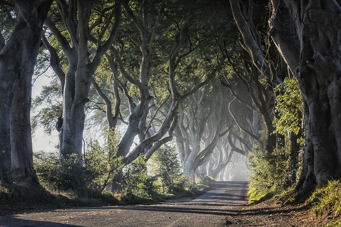 Dublin to Dunluce Castle, Giant's Causeway, Dark Hedges & Belfast - Is $96.74 good value?
