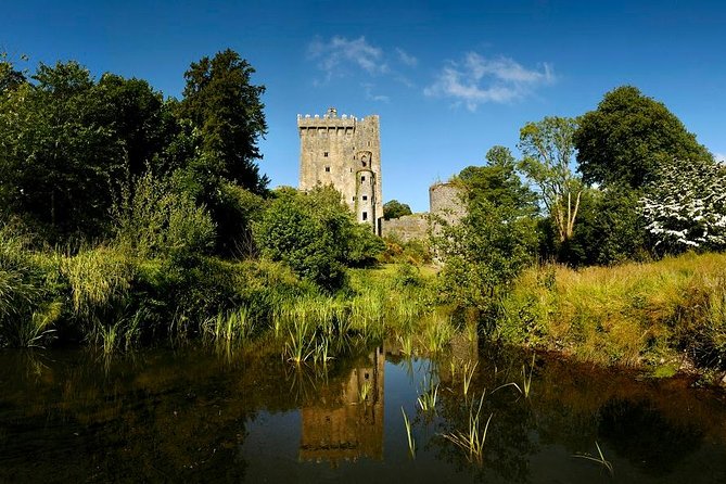 Dublin to Rock of Cashel, Cork City & Blarney Castle Guided Tour - Who should book this experience?