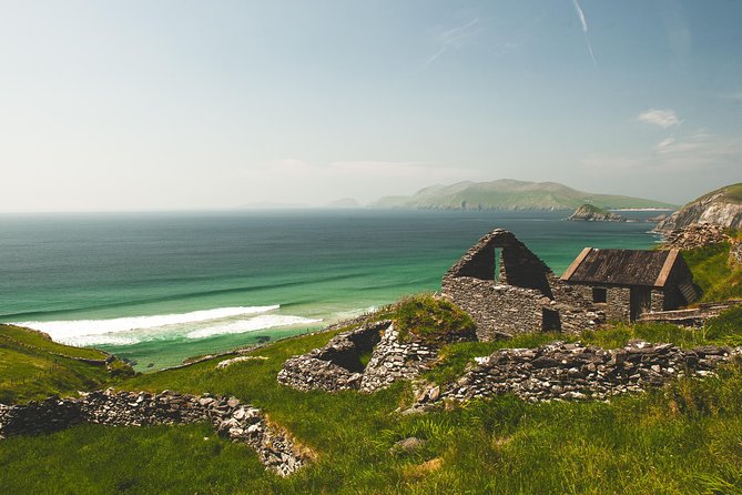 Dublin to South West 5 Day Small-Group Tour with Accommodation - The guides make the difference