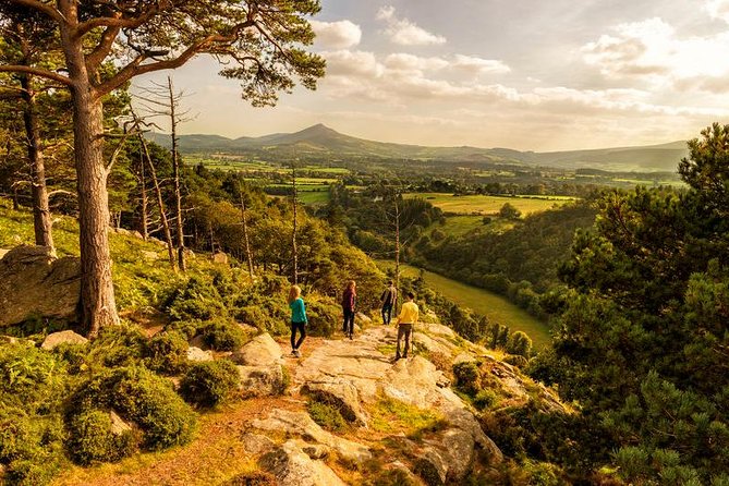 Dublin to Wicklow, Glendalough Small Group Tour with Guided Walk - The Scalp walk and its mixed appeal