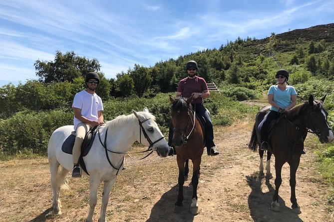 Dublin to Wicklow, Glendalough Small Group Tour with Horse Riding - Enniskerry’s 45-minute lunch stop