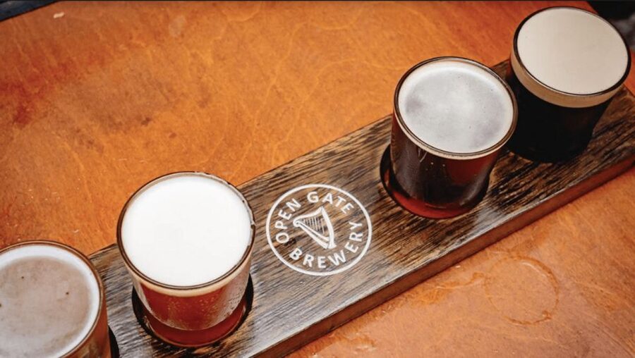 Dublin: Traditional Pubs Walking Tour with Local Guide - Practical details that shape the experience