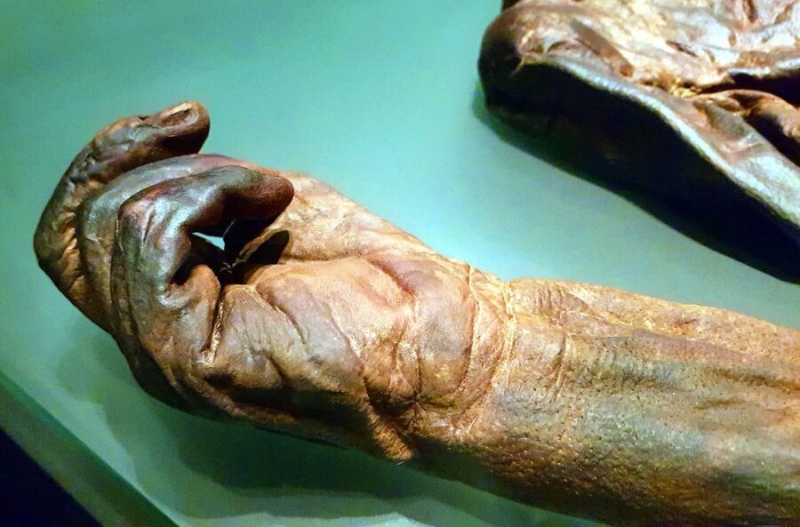 Dublin: Treasures of Ireland Museums Private Tour - Who will enjoy this Dublin museum tour?