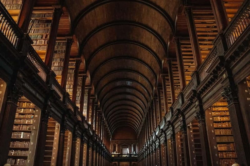 Dublin: Trinity College, Castle, Guinness and Whiskey Tour - Walking, access, and practical limits